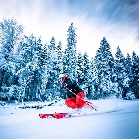 студио ая- смолянски езера *