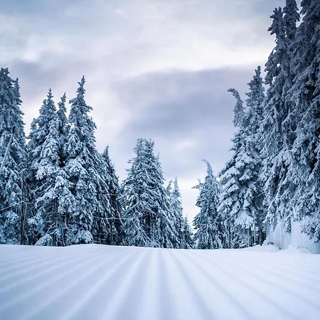 Apartment студио ая- смолянски езера Smolyan