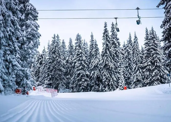 студио ая- смолянски езера
