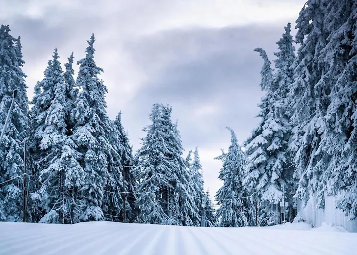 Apartment студио ая- смолянски езера Smolyan